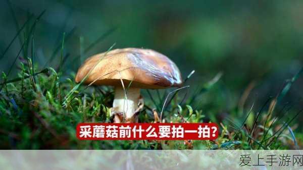 三国杀，神曹操在不同身份局中的绝佳归属