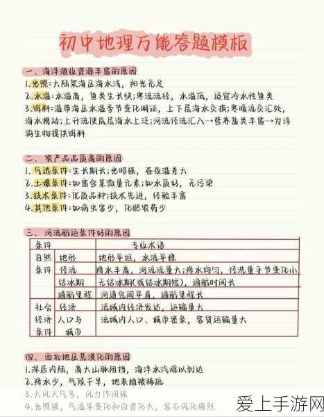 原神深度攻略，菲米尼圣遗物完美搭配指南，解锁战斗新境界