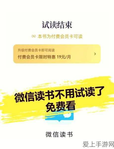 探秘航海王，壮志雄心藏品路飞的神秘藏身之处