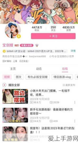 探秘疯狂动物园极地，终极攻略指南