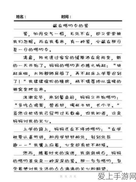 超级达人微察秋毫3高难度关卡速通秘籍，细节决定成败！
