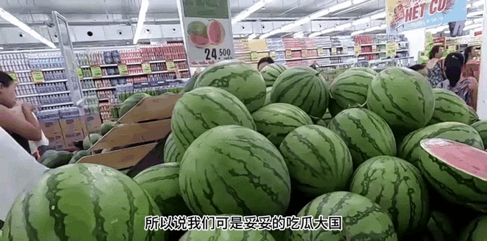 原神启程之选，双子主角性别抉择大揭秘！