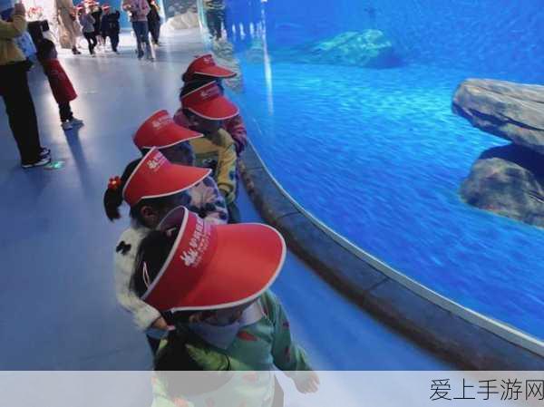 大航海时代深度攻略，地方舰队组建秘籍，打造无敌海洋帝国