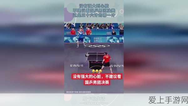 烟雨江湖，武穆之争的终极攻略与精彩对决细节
