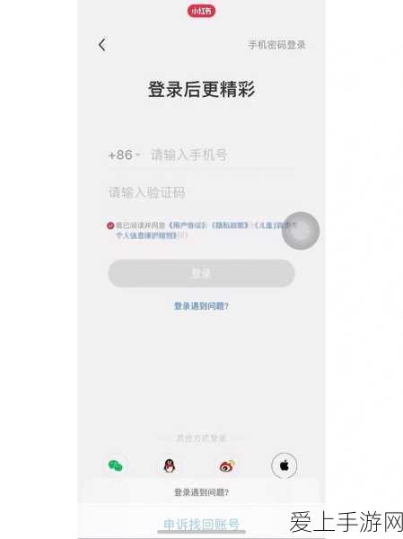 阴阳师手游深度解析，山兔速度达标线及竞技场策略揭秘