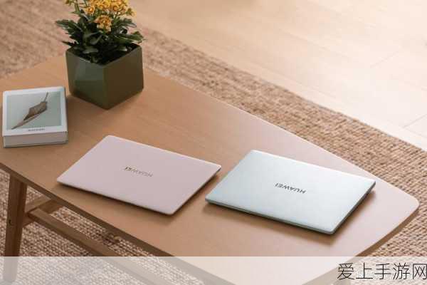 风云岛行动深度攻略，多维度破解荆棘危机，制胜策略全揭秘