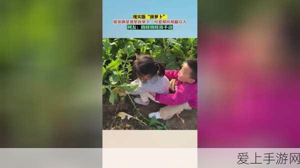 剑与远征新英雄揭秘，特雷兹诺技能强度全解析及实战应用