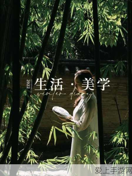 永劫无间，宁红夜玩法全解析，技能选择与实战秘籍