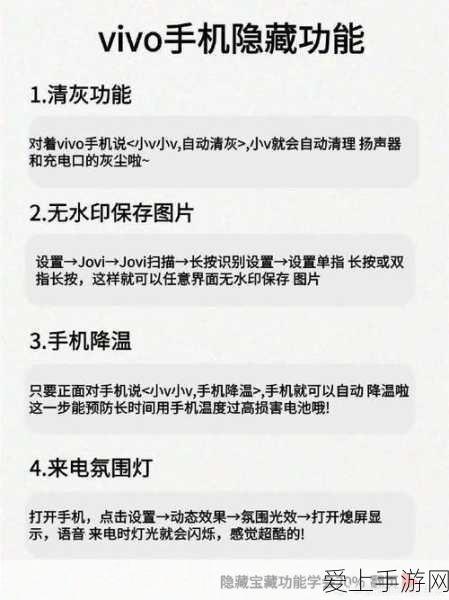 火影女忍者巅峰对决，极限挑战下的勇气与毅力盛宴