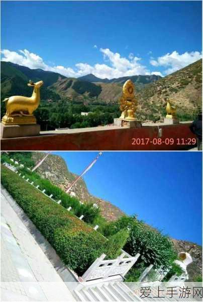 摩尔庄园手游改名卡全攻略，轻松获取，个性昵称随心换