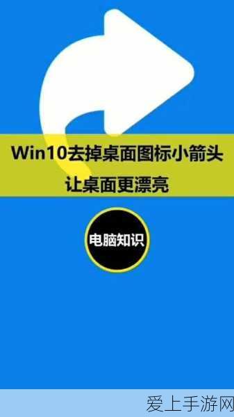 和平精英最强王者与吃鸡段位对比解析，顶尖玩家的荣耀之路