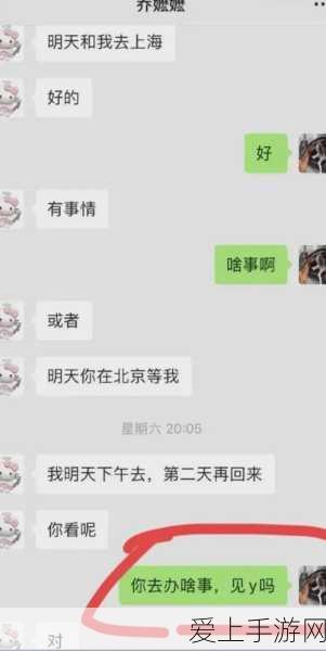 原神高手进阶，胡桃甘雨双C阵容深度剖析及实战秘籍