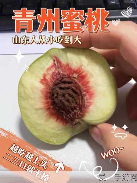 探秘江南百景图，杭州府宝箱钥匙全攻略，解锁隐藏宝藏！