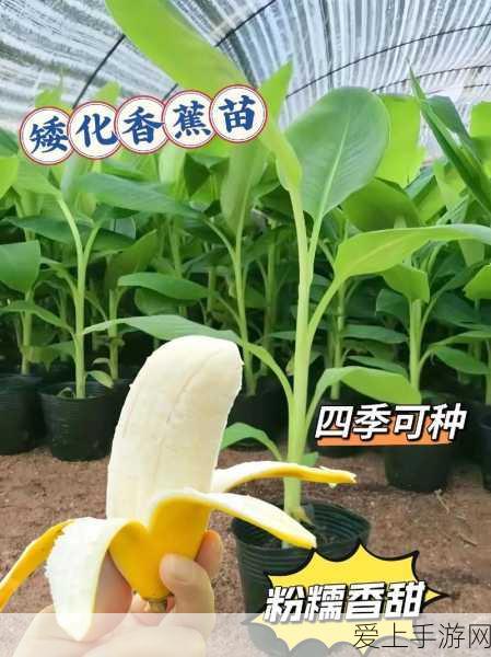云上城之歌毁灭者技能加点秘籍大公开