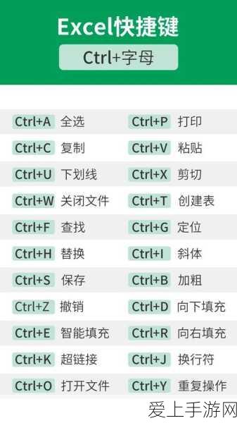 洛克王国深度解析，邪恶玄武技能搭配与实战策略全揭秘