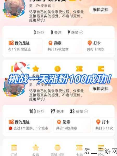 金铲铲之战，神龙狗头阵容深度解析与实战攻略
