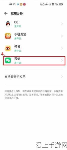 摩尔庄园许愿龟，解锁神秘奖励与稀有道具的奇妙之旅