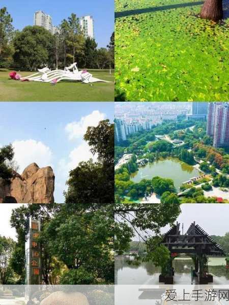 幻兽帕鲁终极对决，绸笠蛾BOSS深度揭秘与制胜攻略