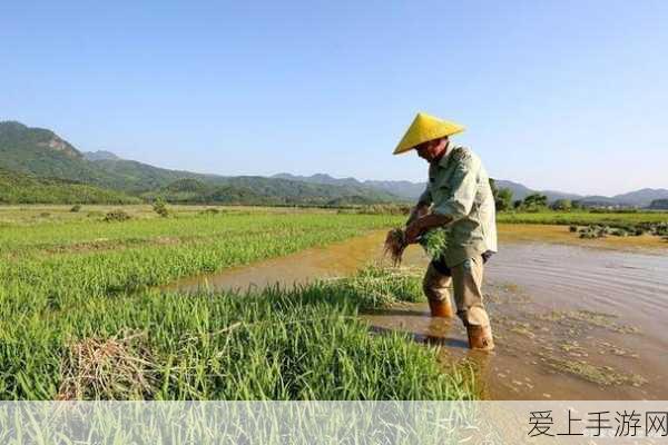 揭秘新玩法！僵尸炮手最新兑换码大放送，赢取独家武器！