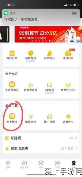 轻松掌握 WPS 表格格式调整秘籍