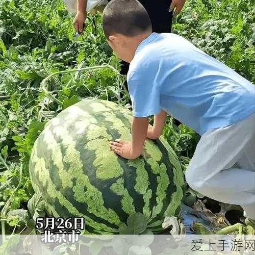 三国志战略版PK赛季，蔡文姬实战攻略与战术深度解析