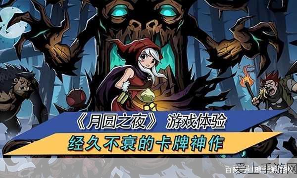 归龙潮空阁绝音，揭秘高效完成花絮任务攻略
