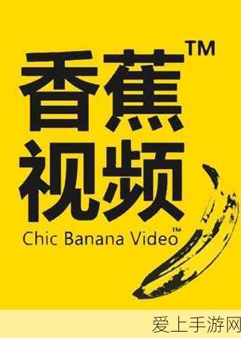 FC勇者斗恶龙3作弊秘籍大揭秘，经典重温，作弊技巧与攻略全解析