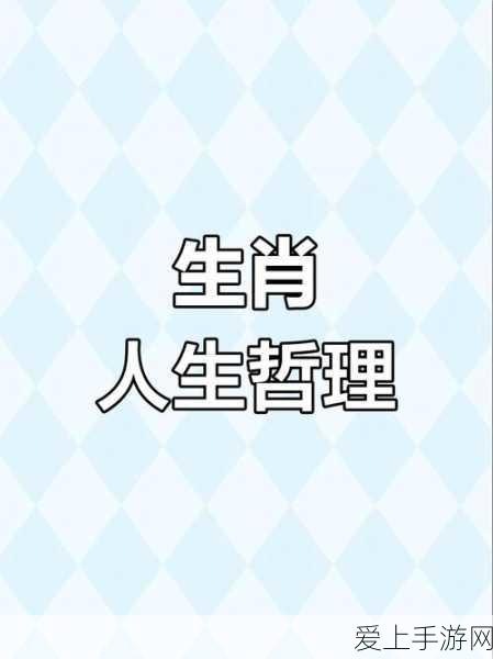 探秘不一样传说，深度解析剑圣戒指的神秘力量