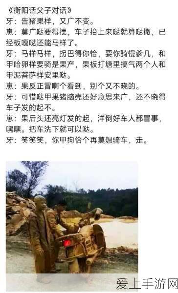 夏侯渊无敌组合大揭秘，三国志·战略版顶尖武将战法搭配深度解析