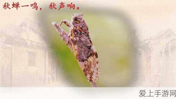 王者荣耀天魔再临皮肤保底价格揭秘，珍稀皮肤入手成本全解析