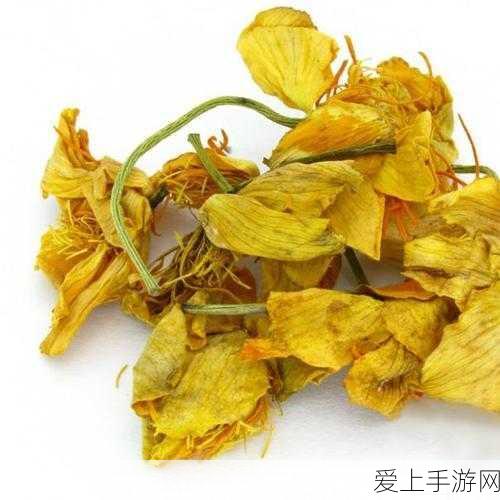 魔兽世界手游化新揭秘，随从升级至史诗级全攻略