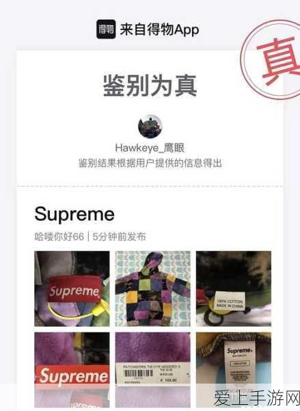 传奇永恒，揭秘狗球与狗书珍稀掉落地点与攻略
