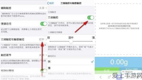手游纸嫁衣2，奘铃村罗盘解谜全攻略，揭秘罗盘顺序的奥秘