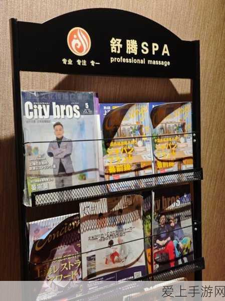 重构，阿塔提斯黑井莺角色深度解析与实战技巧