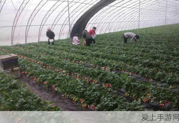 保卫萝卜4饿龙传说，第25关终极攻略大揭秘，挑战饿龙新境界！
