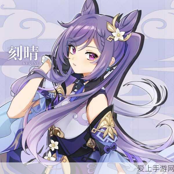 太极熊猫2，战力飞跃攻略，解锁高手进阶秘籍