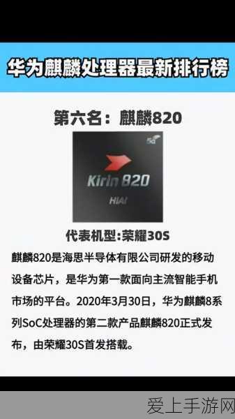 揭秘最强蜗牛博物馆，收益最大化攻略与实战分析