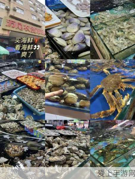 揭秘冰原守卫者，暗影巨龙首领的策略秘籍与致胜攻略