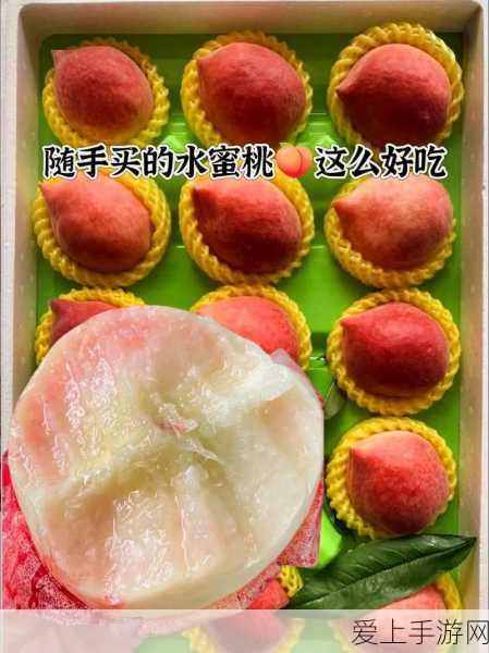 射雕英雄传手游，赵王府秘藏全攻略，揭秘宝藏之门与竞技细节