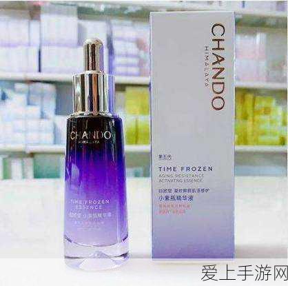 怀旧服巫妖王之怒，惩戒骑雕文全攻略，解锁战斗新境界