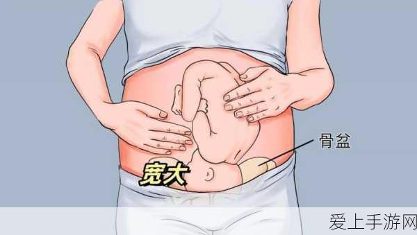 原神深度角色培养攻略，精选角色，倾心打造你的梦幻阵容！