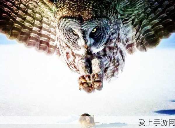 DNF手游灵悦币大揭秘，十枚灵悦币获取攻略全解析