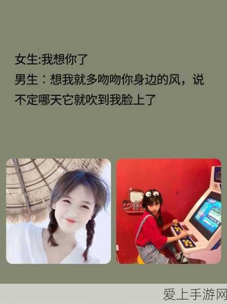 火炬之光手游，全新角色深度剖析与实战技巧揭秘