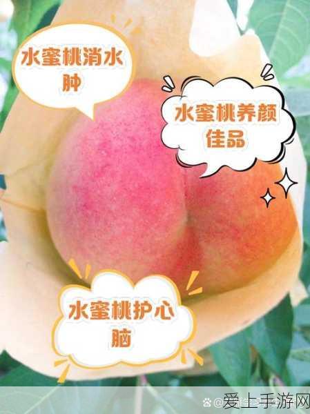 鸣潮手游角色深度剖析，男女主角魅力对决，你的抉择引领未来之路