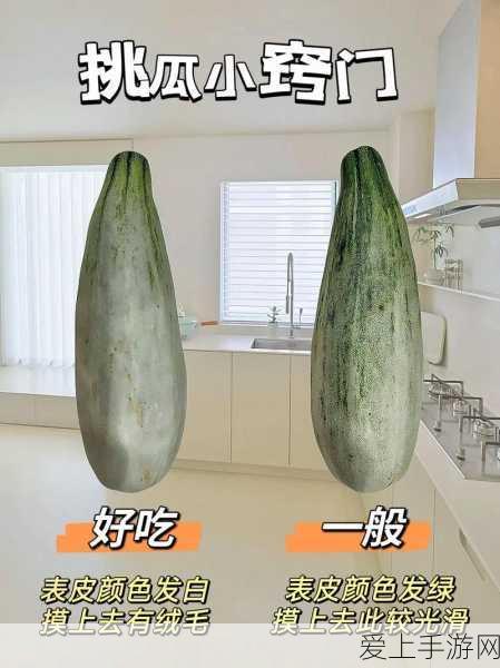 梦幻西游网页版，葫芦往事第四关通关秘籍大揭秘