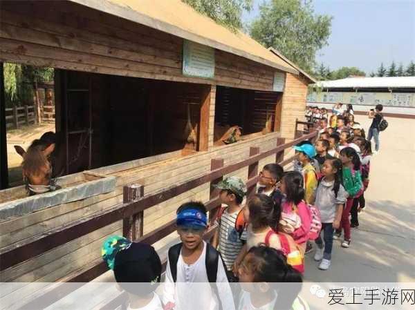 QQ 飞车永久机甲兑换码神秘揭晓及获取攻略