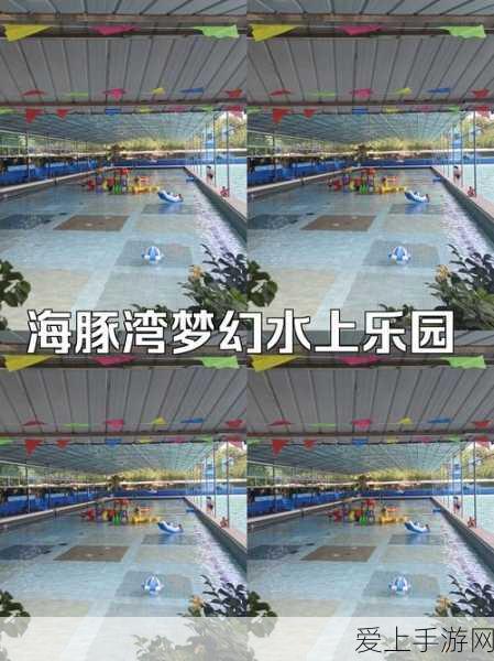 探秘角色查询的奇妙之旅
