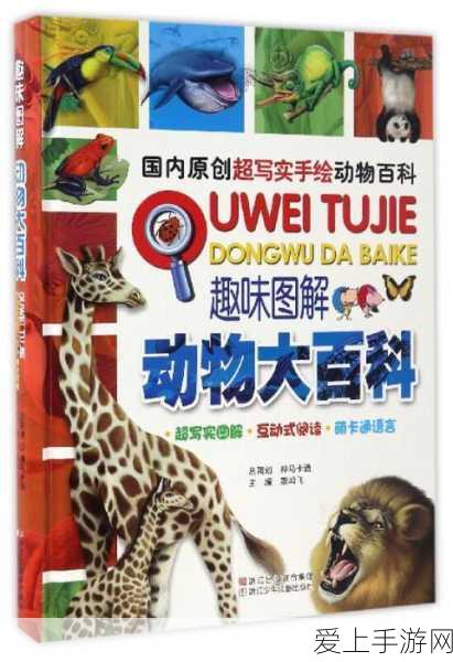 暗黑破坏神 3 手游国际服与国服的深度剖析