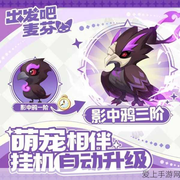 恋与深空，魅力男主设定全揭秘，探索星际爱恋新篇章