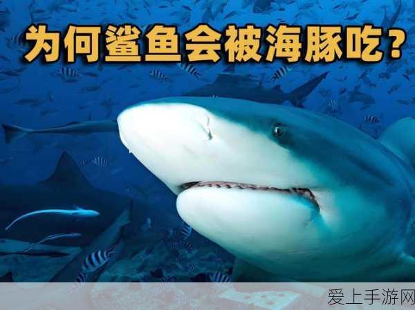 暗黑黎明手游，独家揭秘！免费钻石高效获取全攻略